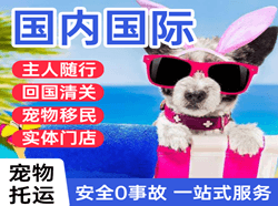 长春龙嘉机场托运国际宠物托运 【国